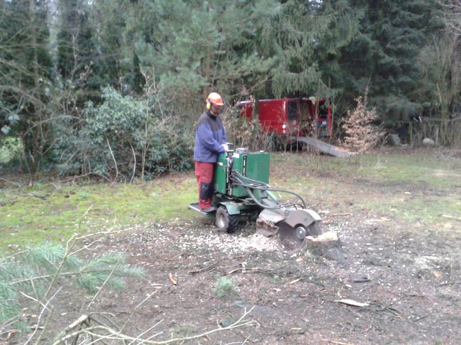 Die Baumstubbenfräse